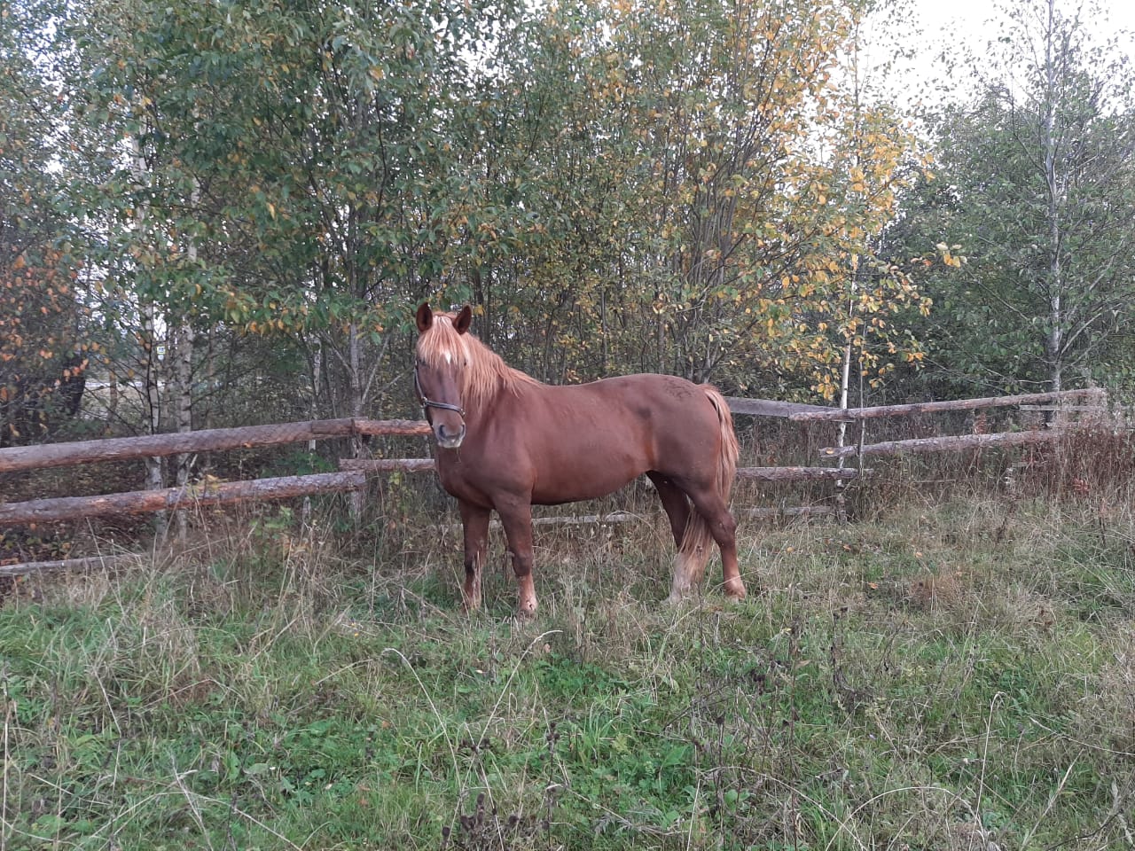 IMG-20190918-WA0067.jpg