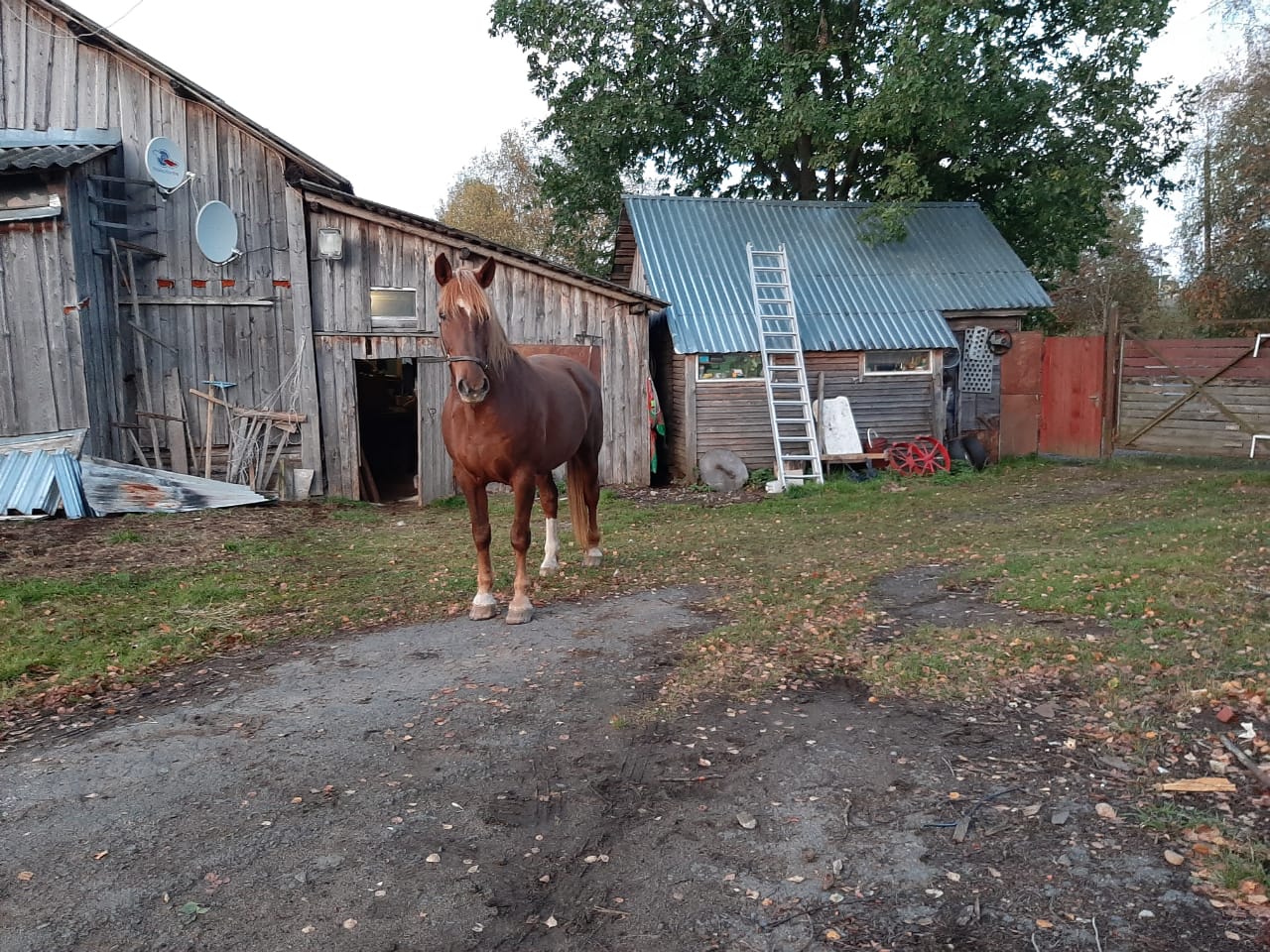 IMG-20190918-WA0071.jpg