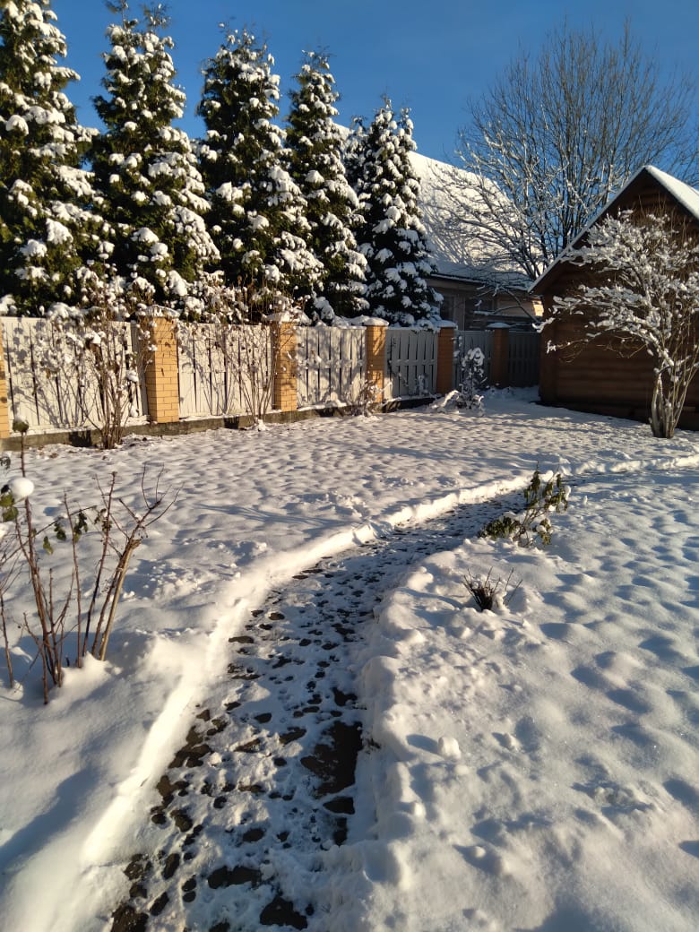 IMG-20201207-WA0003.jpg