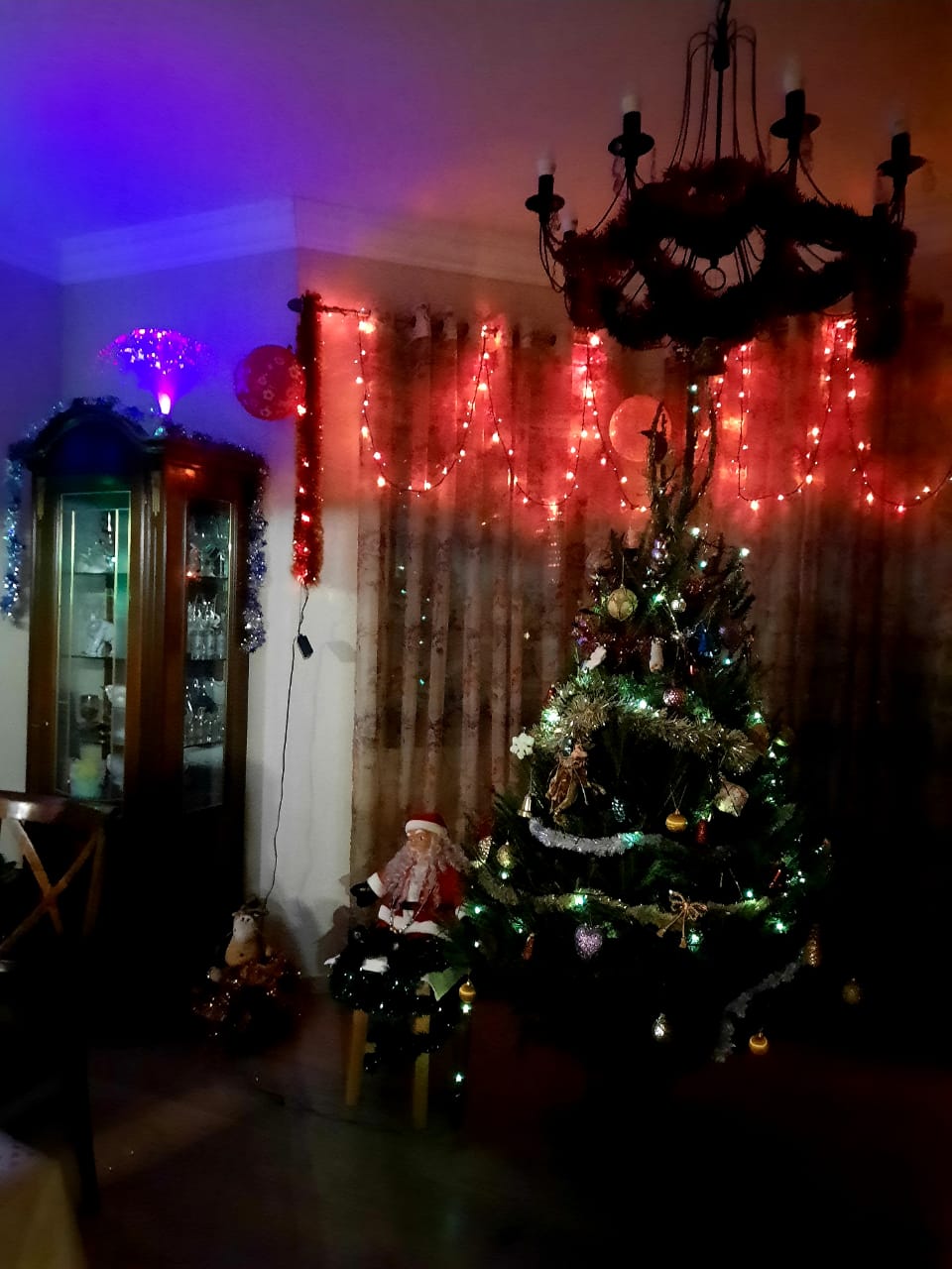 IMG-20201229-WA0009.jpg