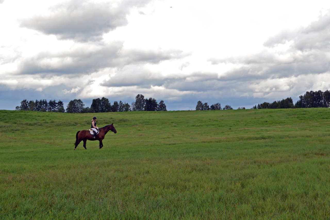 IMG-20210802-WA0007.jpg