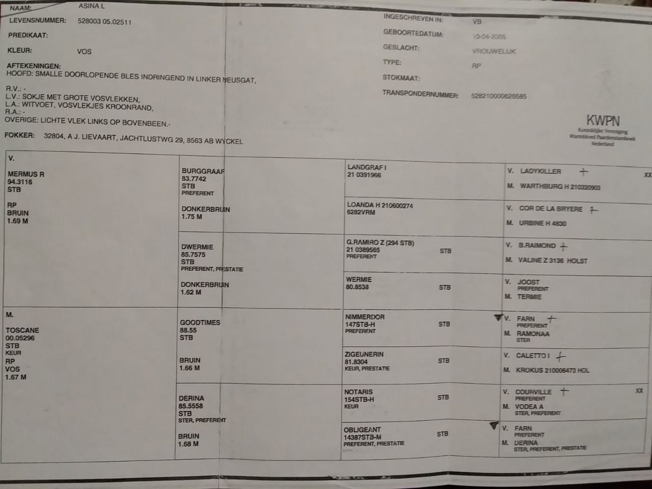 IMG-20210805-WA0000.jpg