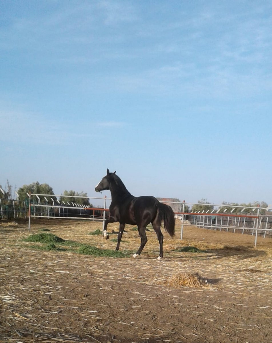 IMG-20220104-WA0004.jpg