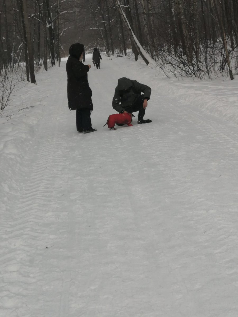 IMG-20220110-WA0004.jpg