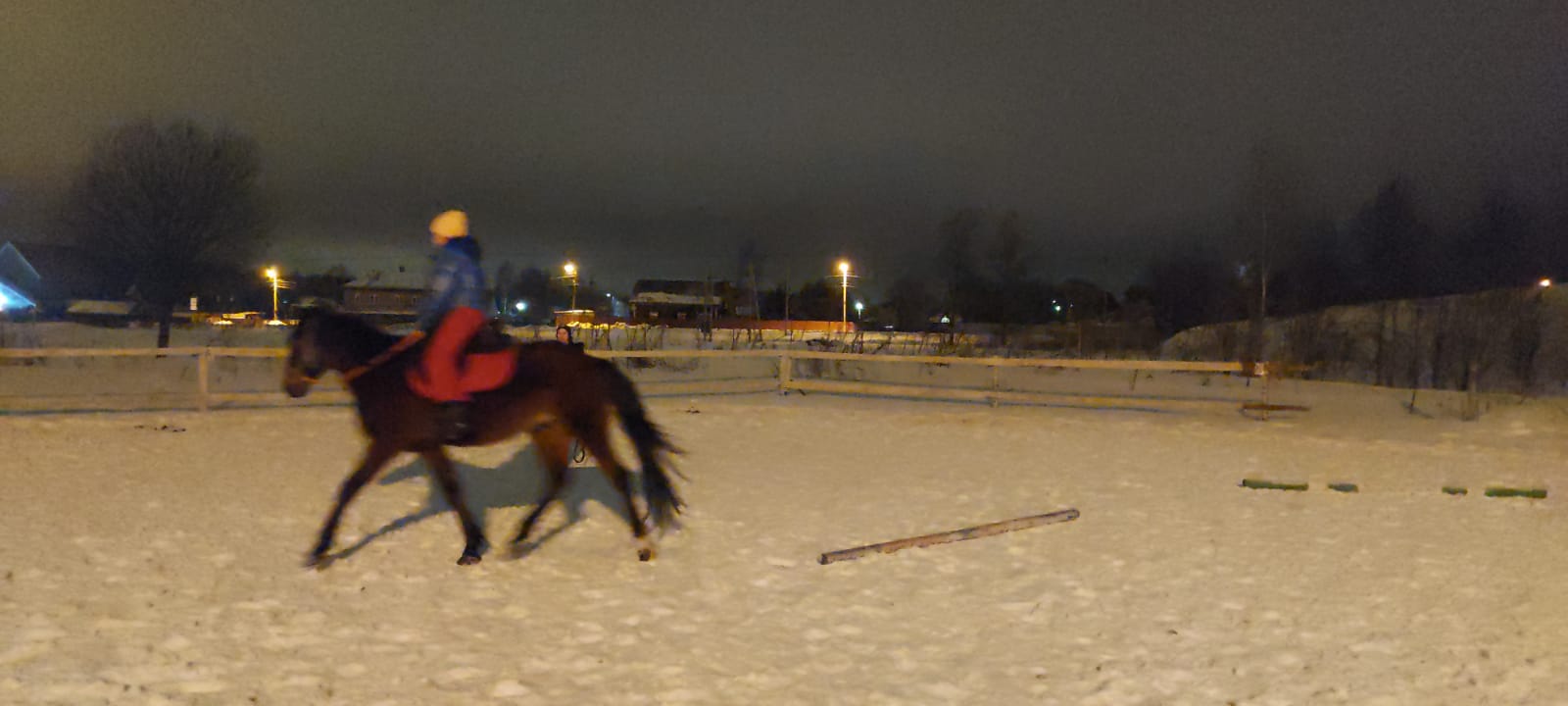 IMG-20220223-WA0021.jpg