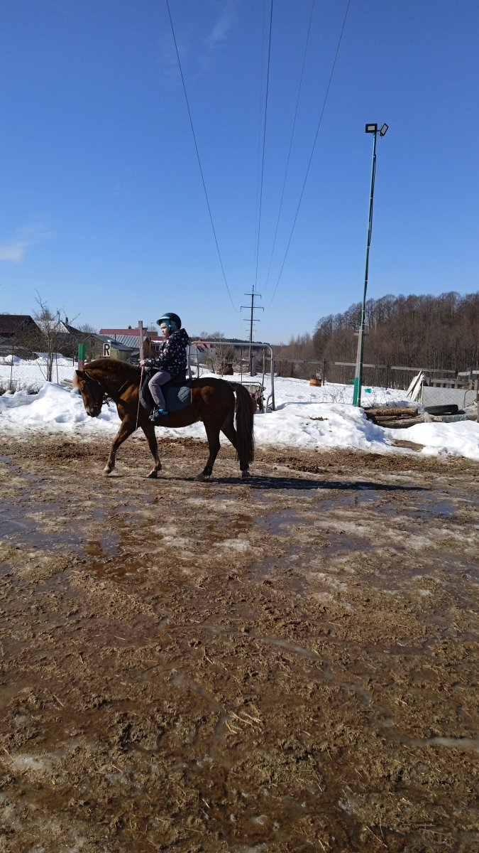 IMG-20220320-WA0001.jpeg