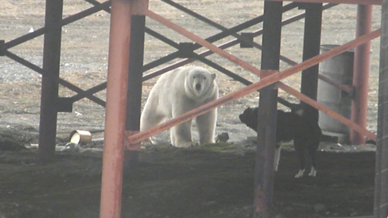 IMG-20221118-WA0004.jpg