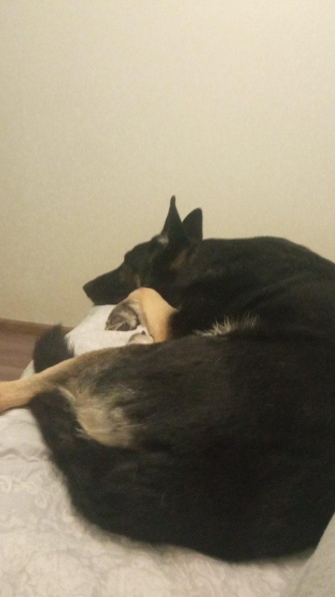 IMG-20230101-WA0007.jpeg