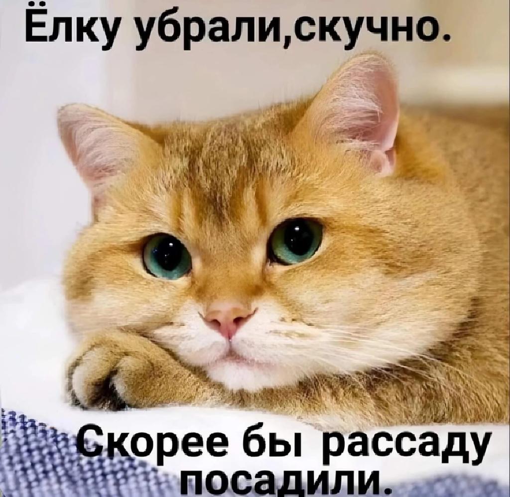 IMG-20230117-WA0020.jpg