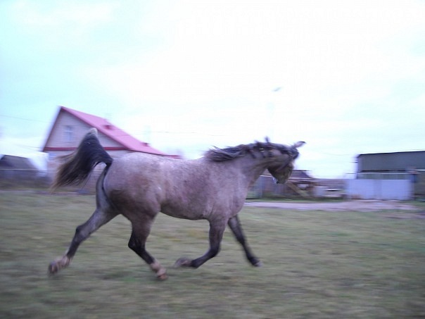 IMG-20230203-WA0050.jpg