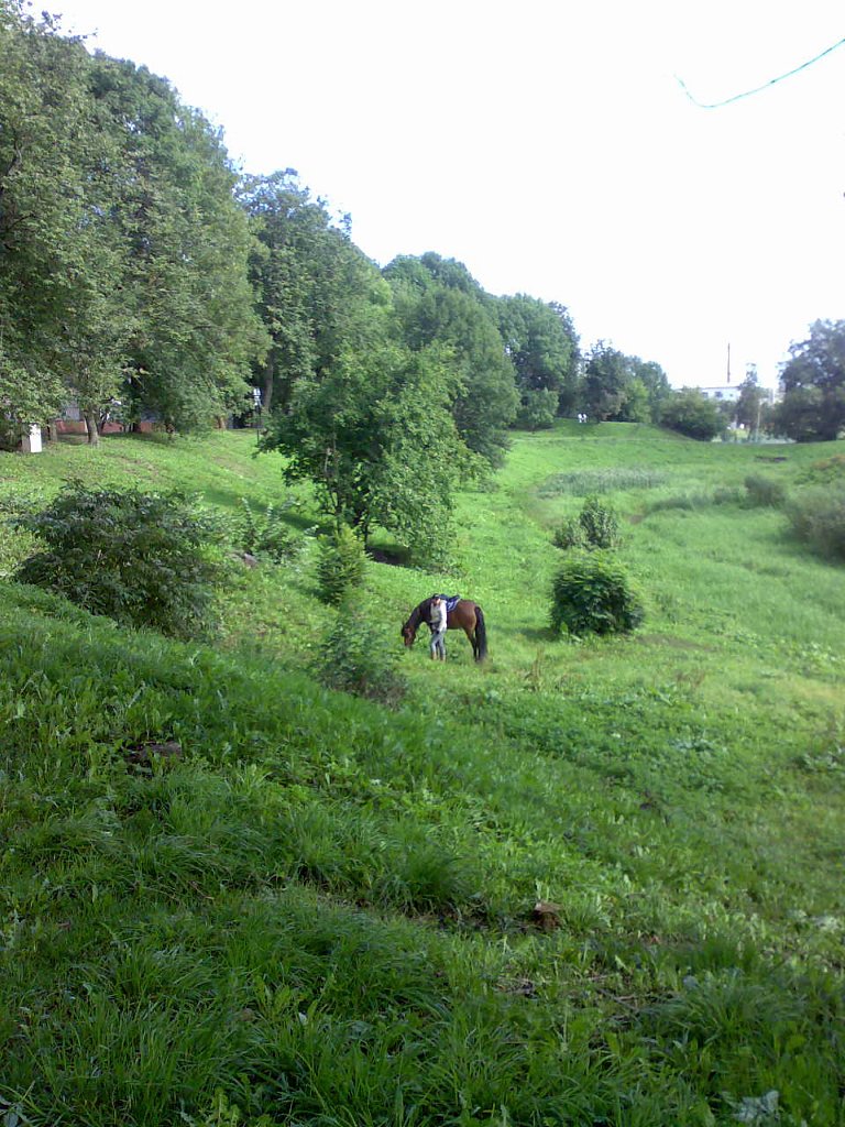 IMG-20230203-WA0064.jpg