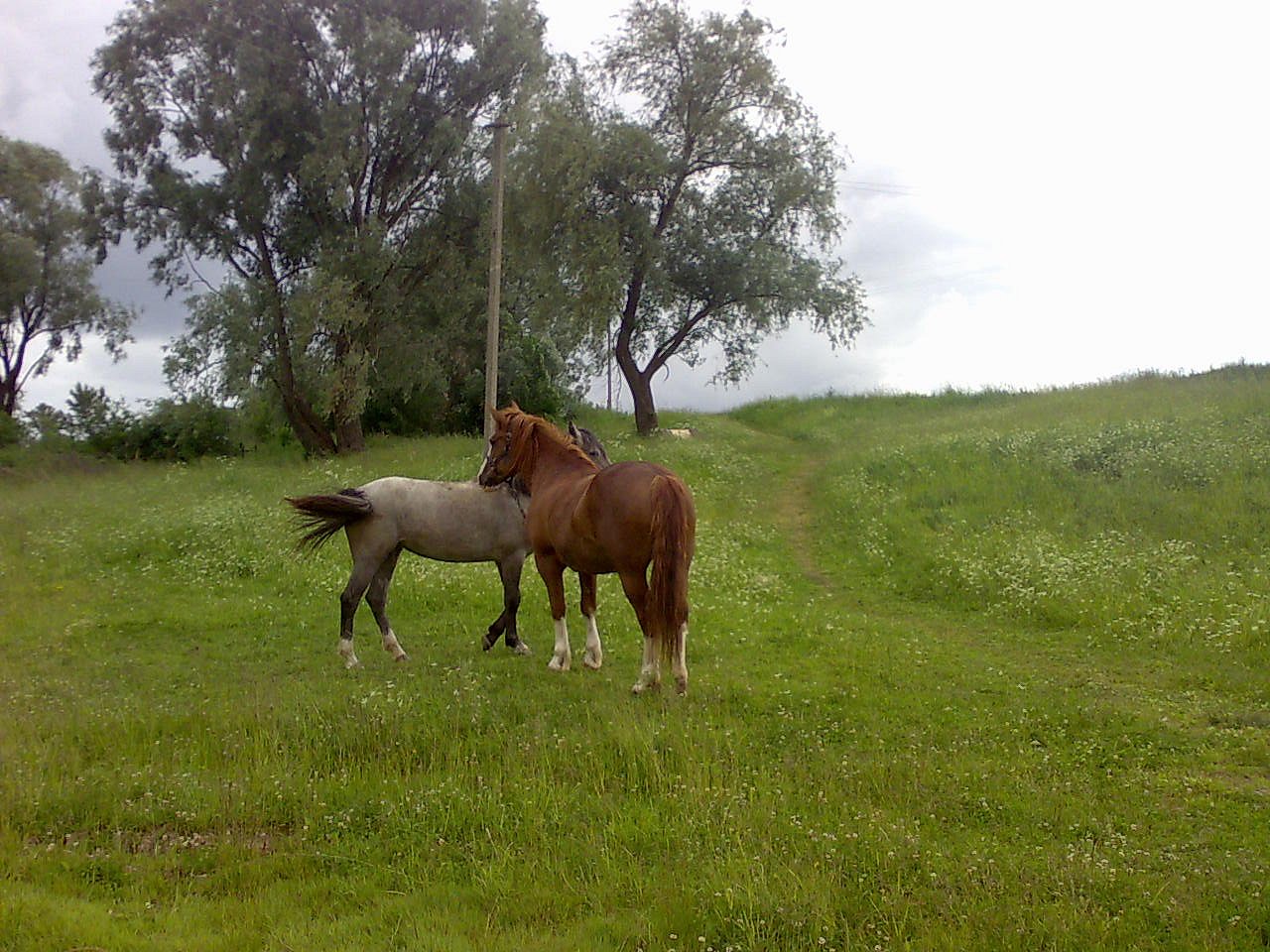 IMG-20230226-WA0005.jpg