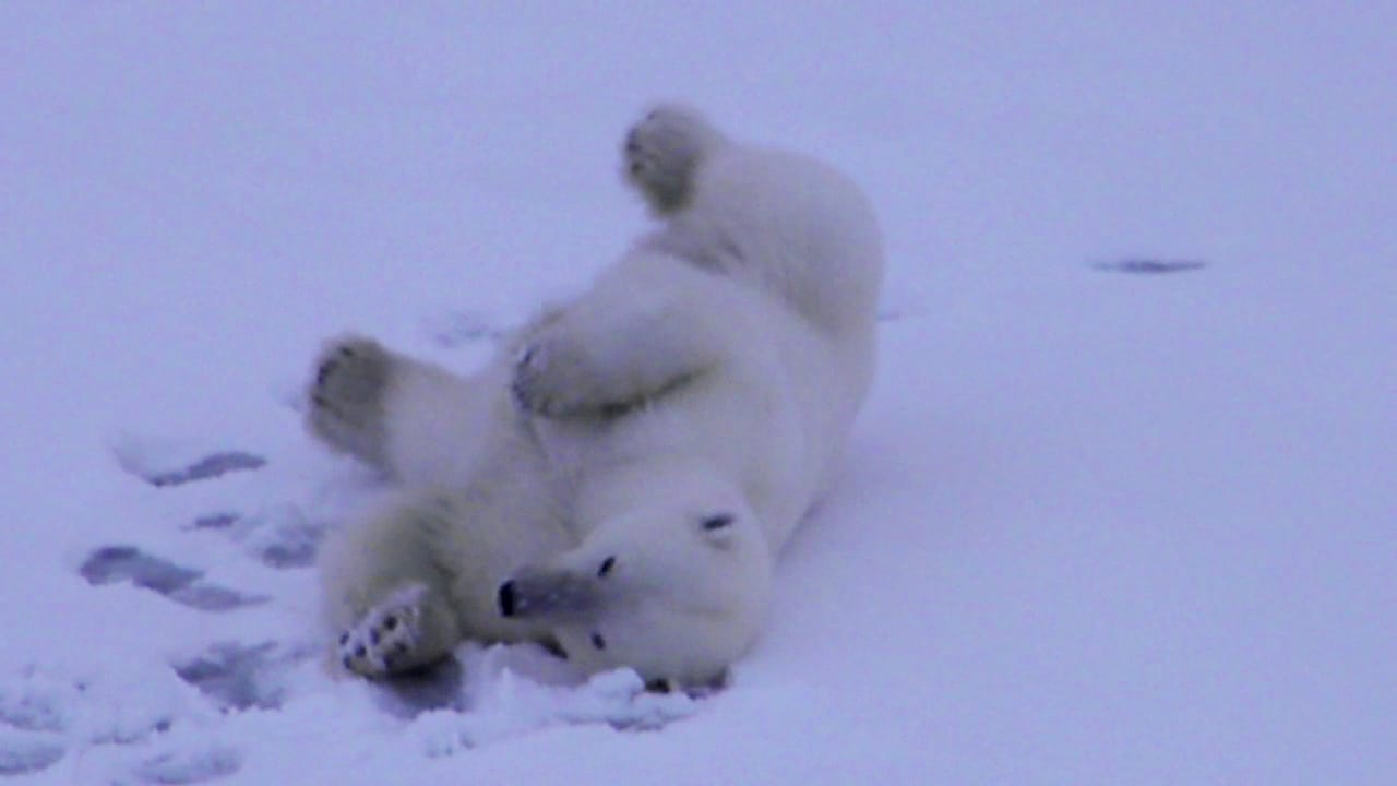 IMG-20231125-WA0004.jpg