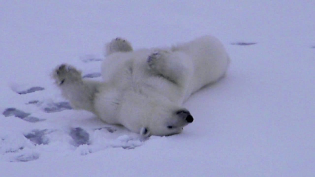 IMG-20231125-WA0005.jpg