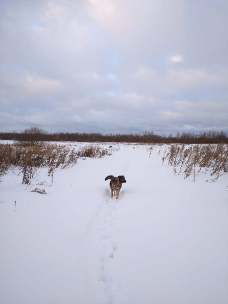 IMG-20240118-WA0044.jpg