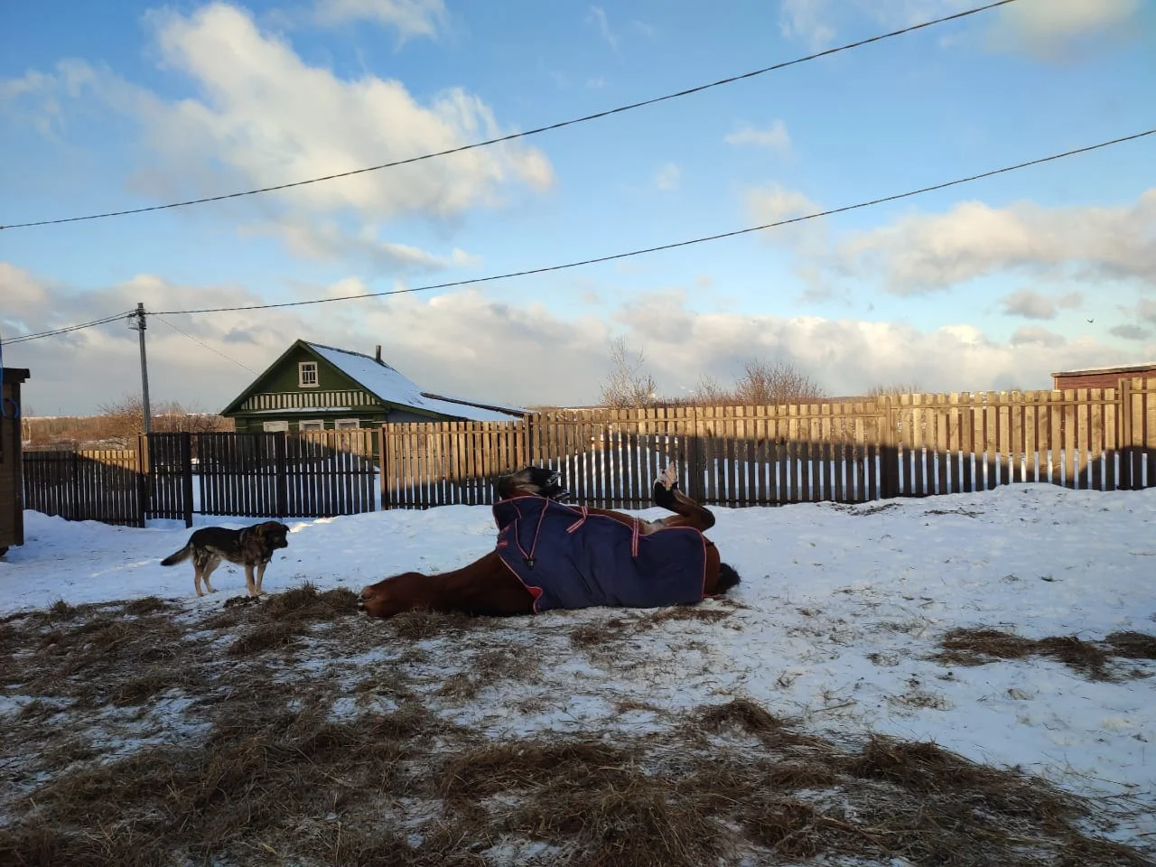 IMG-20240118-WA0046.webp