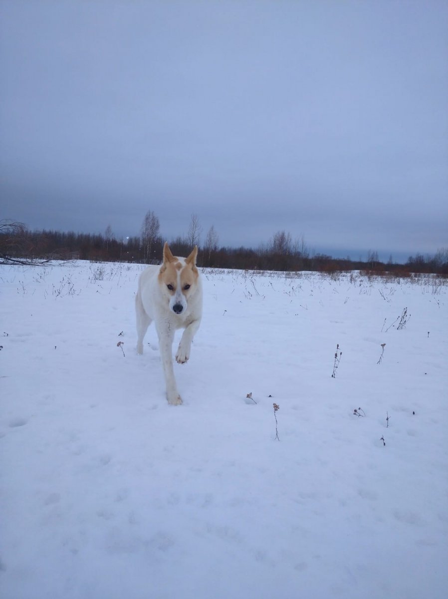 IMG-20240223-WA0007.jpg