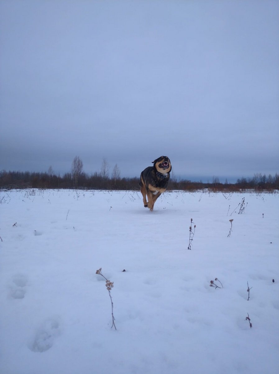 IMG-20240223-WA0009.jpg