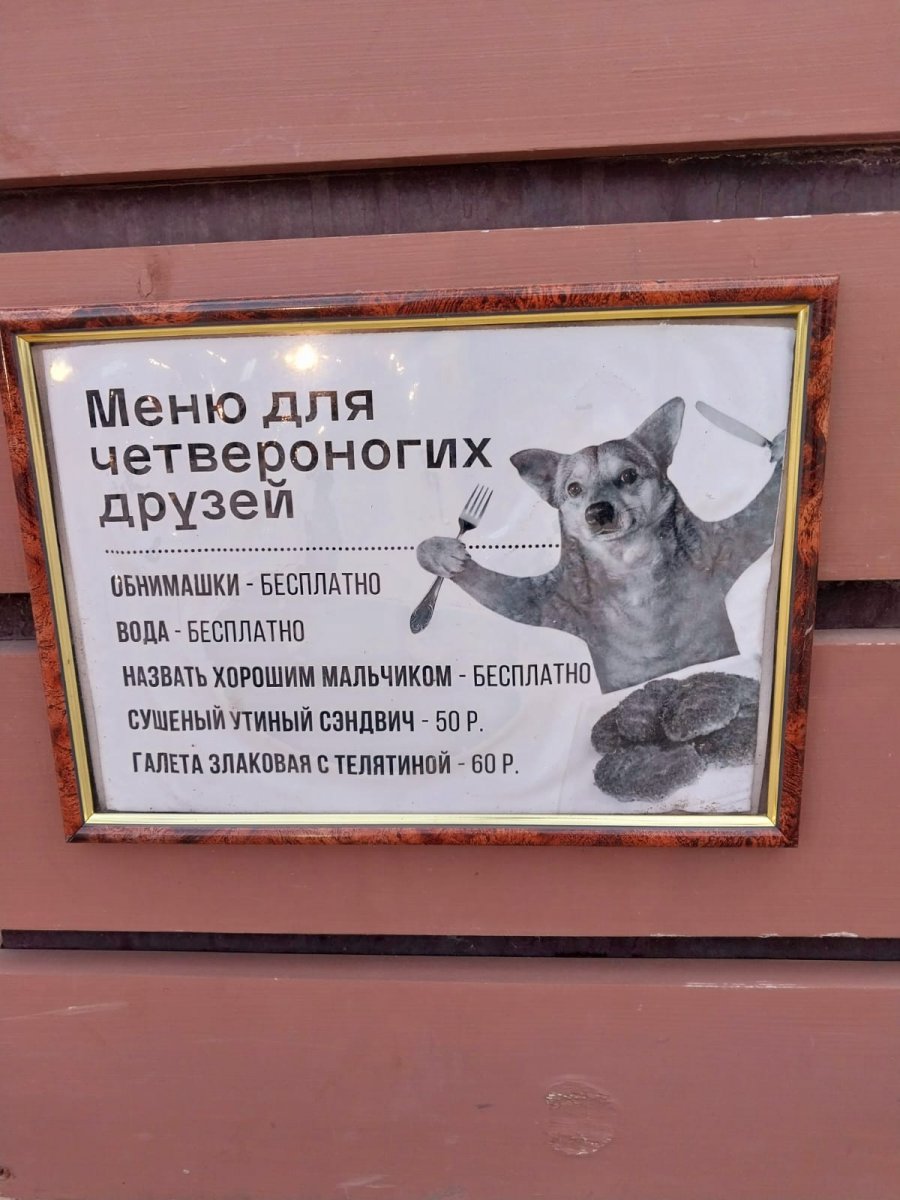 IMG-20240406-WA0018.jpg