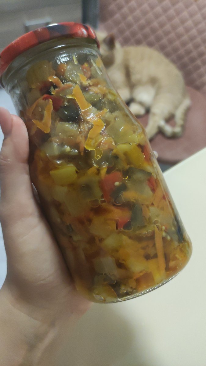 IMG-20240902-WA0024.jpeg