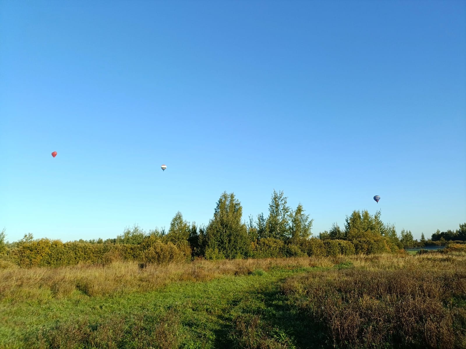 IMG-20240909-WA0022.jpg