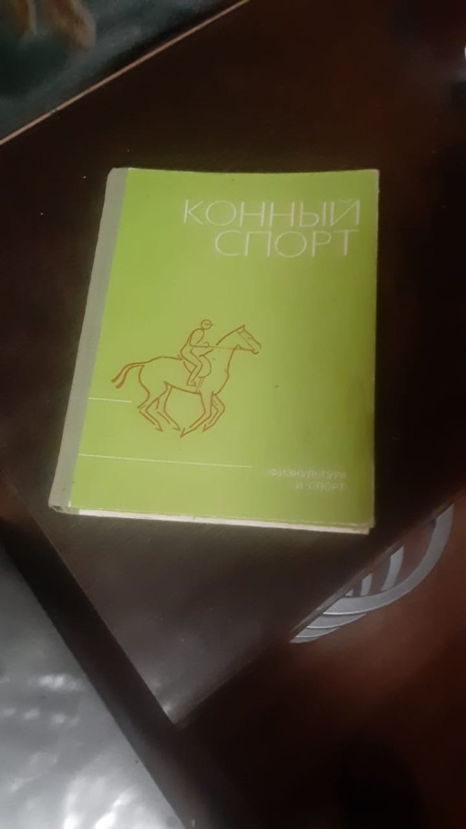 IMG-20241111-WA0005.jpg