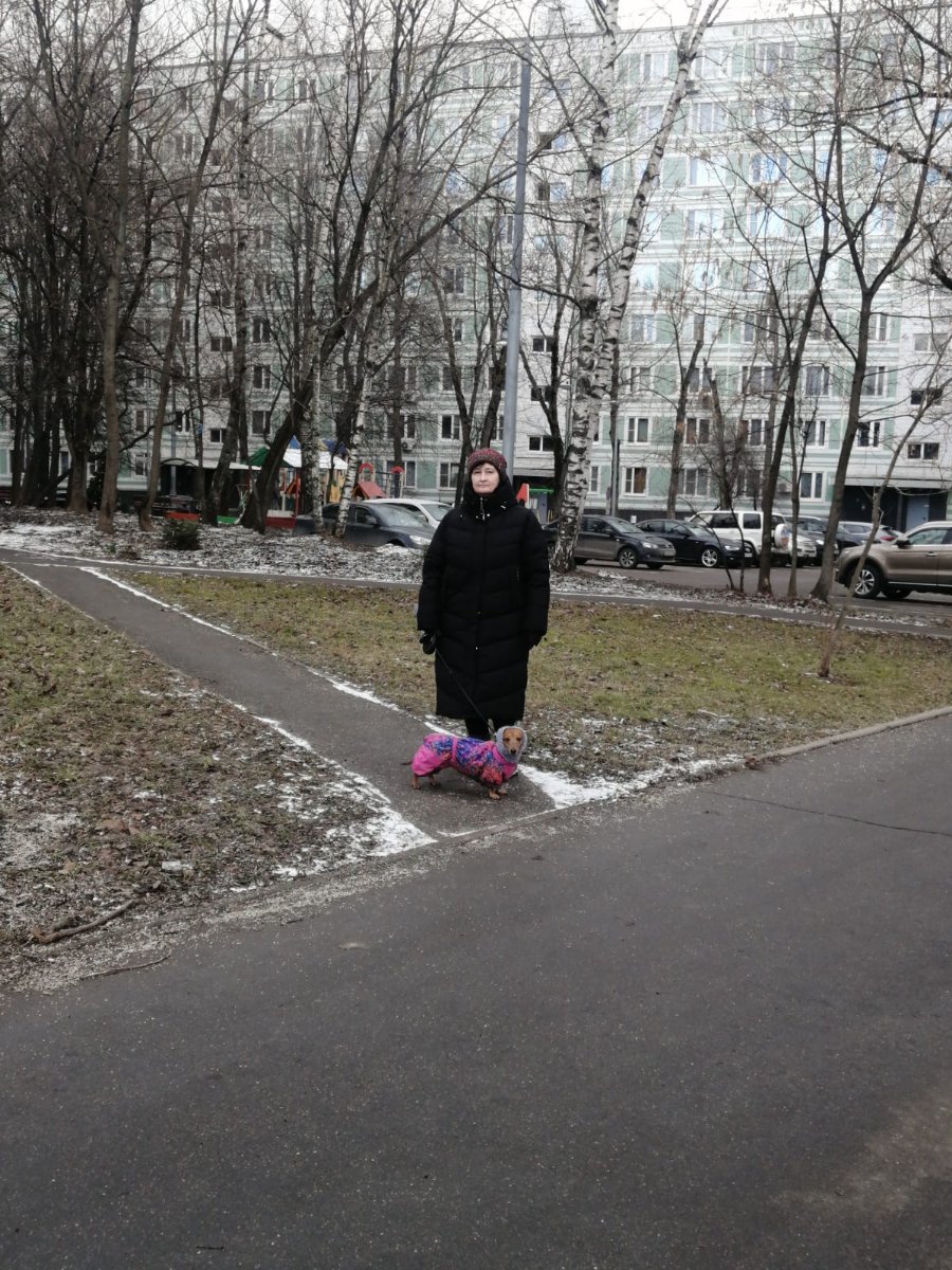 IMG-20250212-WA0006.jpg