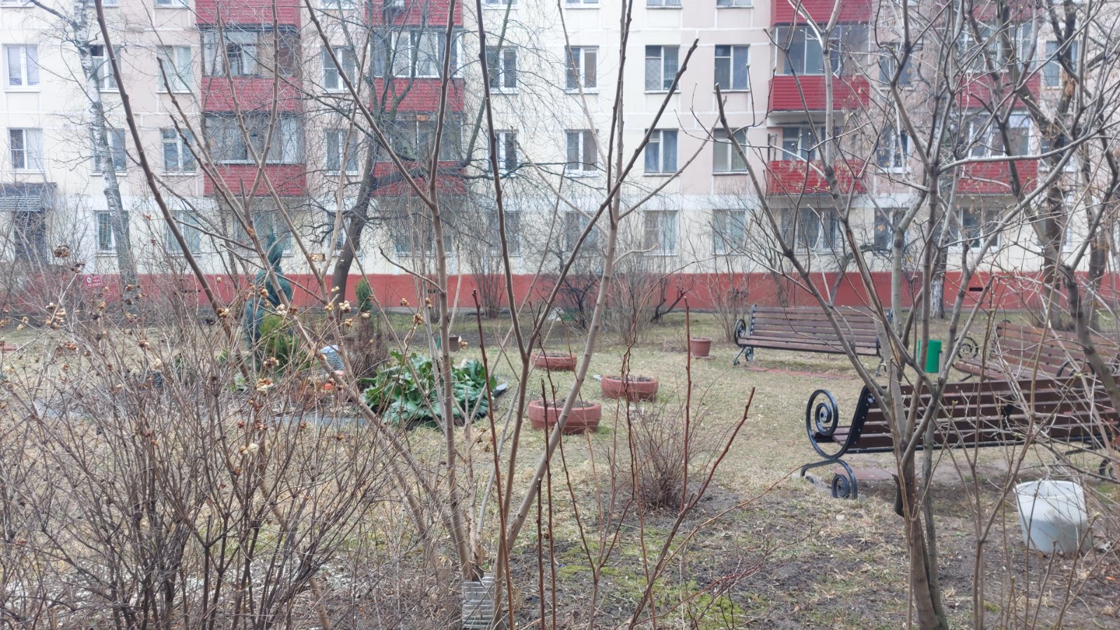 IMG-20250327-WA0002.jpeg