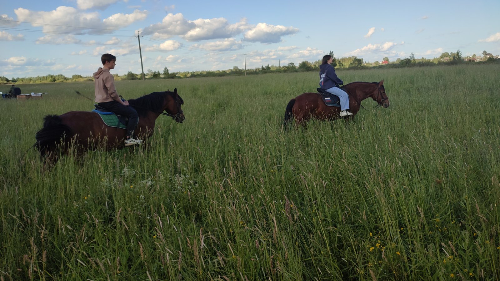 IMG-20250704-WA0014.jpeg