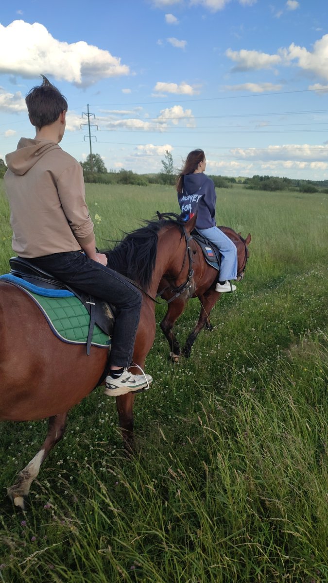 IMG-20250704-WA0016.jpeg