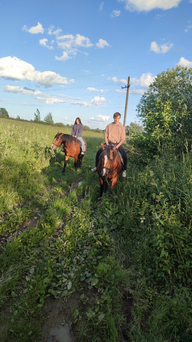 IMG-20250704-WA0026.jpeg
