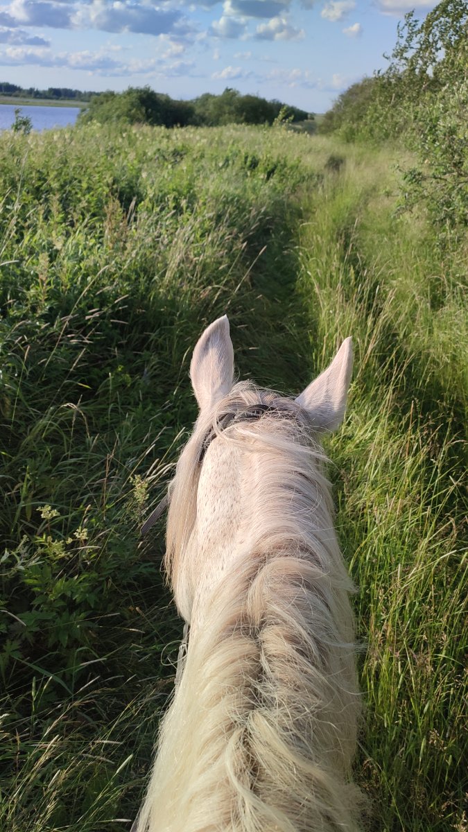 IMG-20250704-WA0083.jpeg