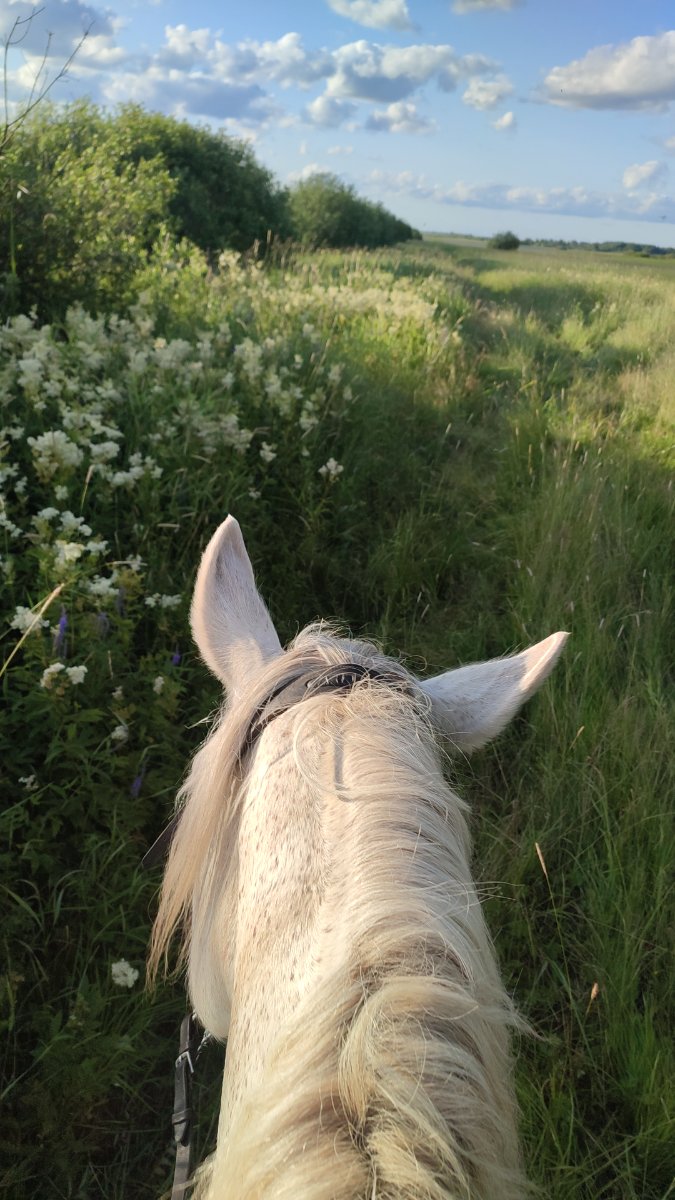 IMG-20250704-WA0089.jpeg