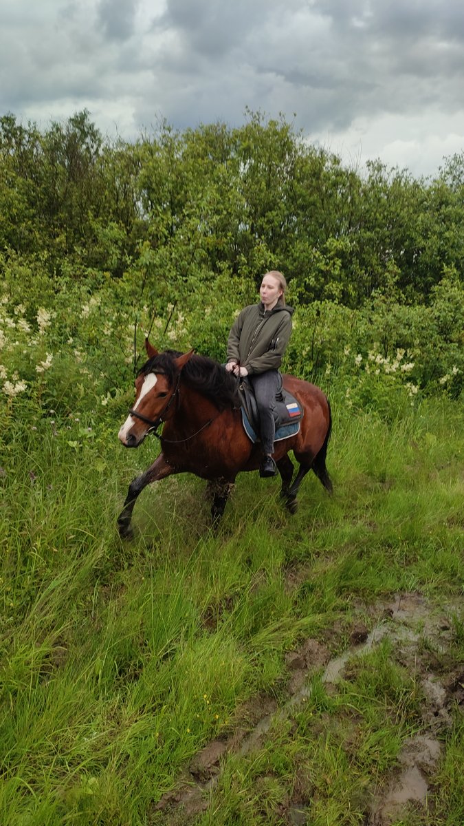 IMG-20250705-WA0109.jpeg