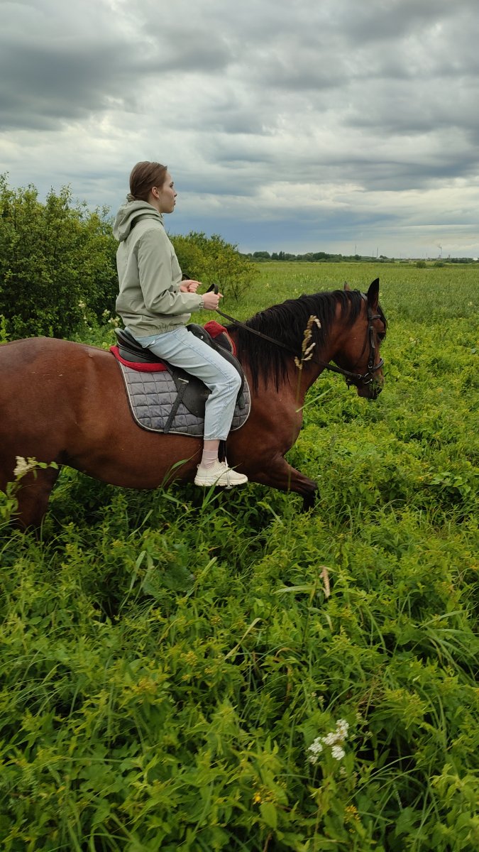 IMG-20250705-WA0125.jpeg