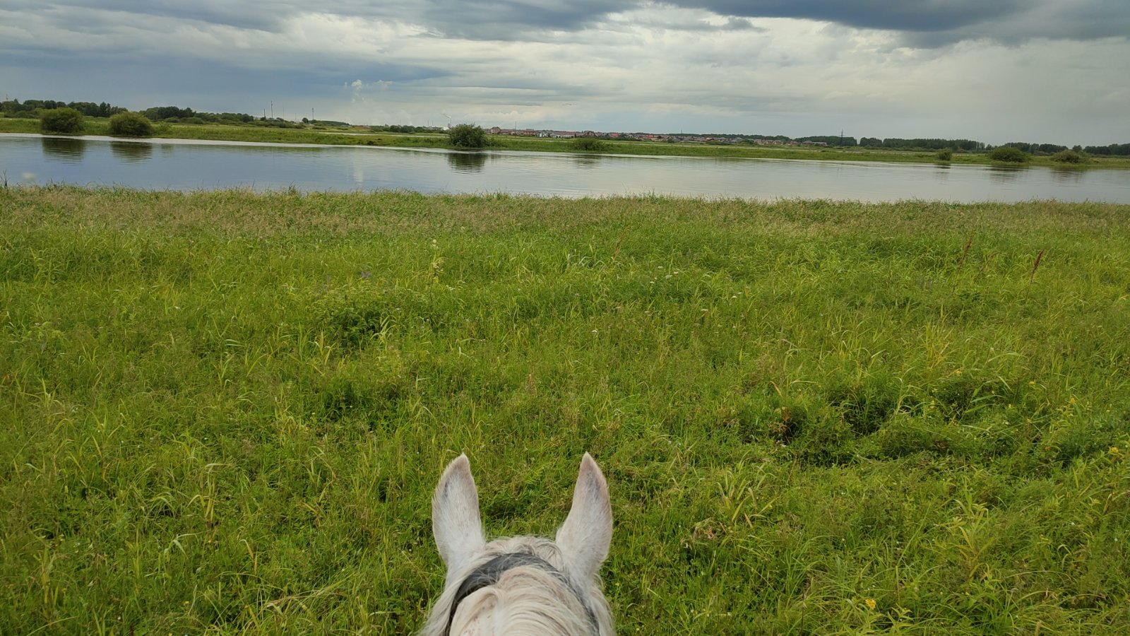 IMG-20250705-WA0134.jpeg