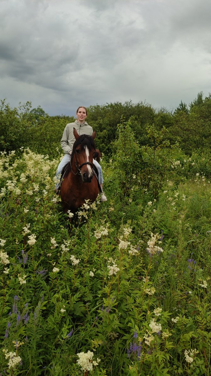 IMG-20250705-WA0151.jpeg