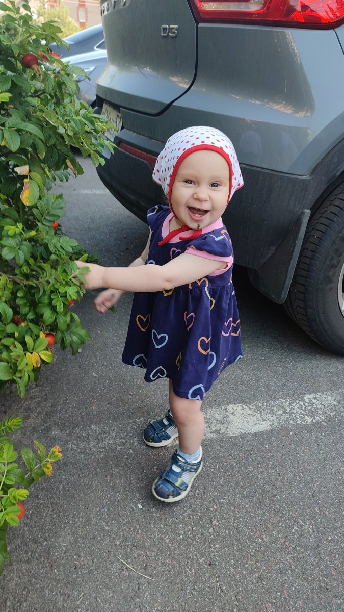 IMG-20250803-WA0062.jpeg