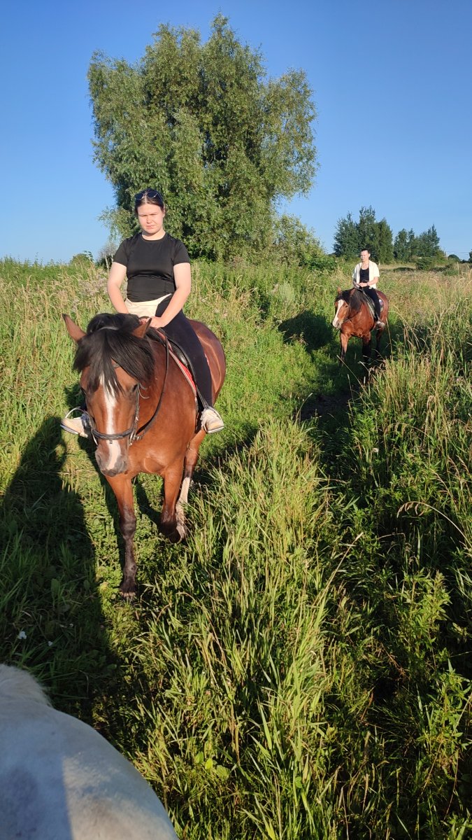 IMG-20250803-WA0078.jpeg