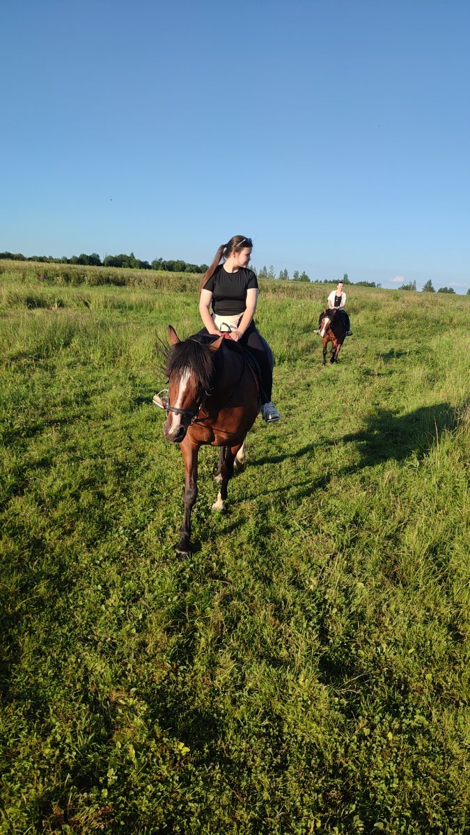 IMG-20250803-WA0083.jpeg