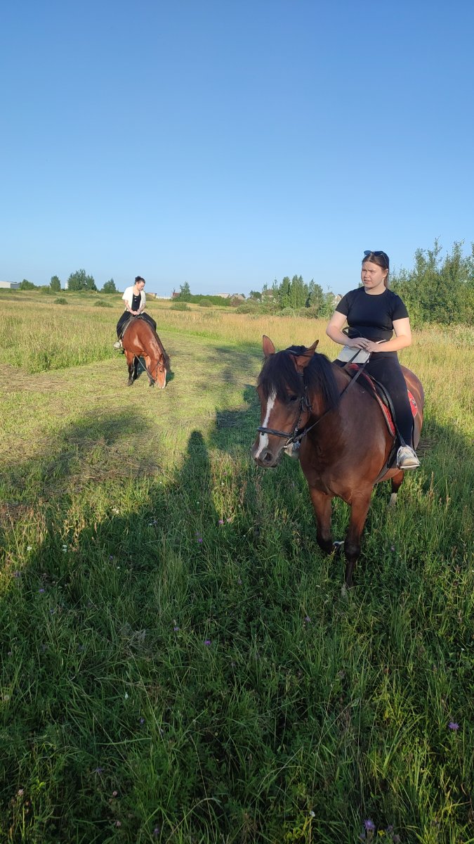 IMG-20250803-WA0095.jpeg