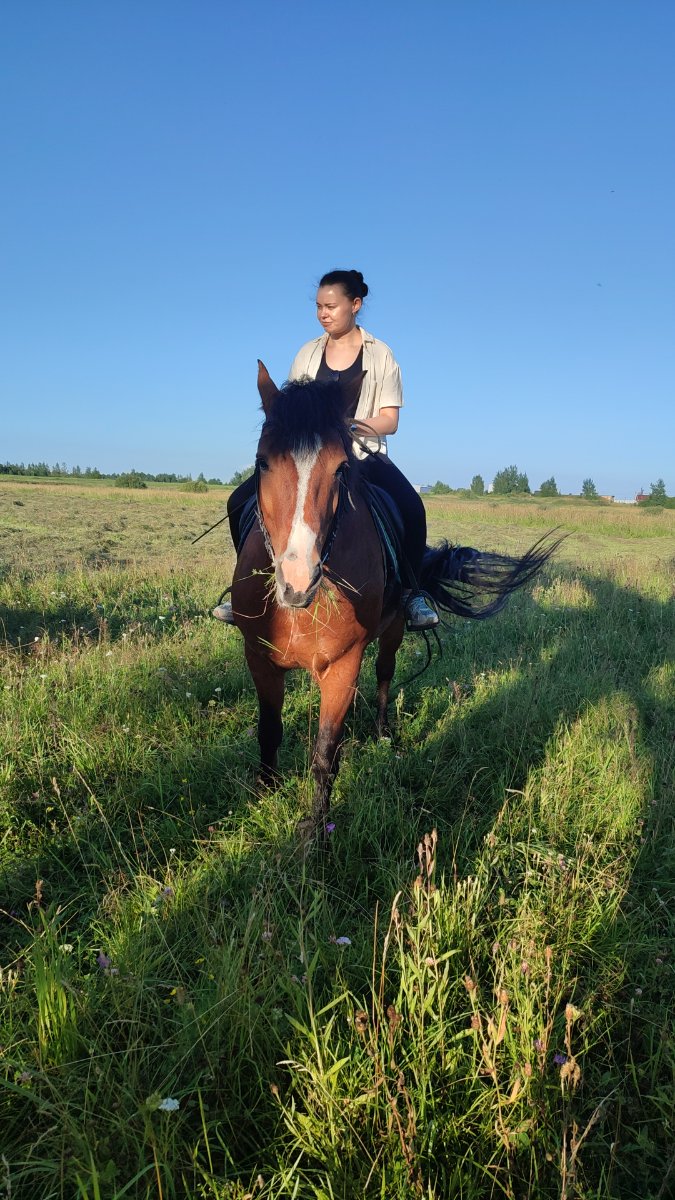 IMG-20250803-WA0097.jpeg