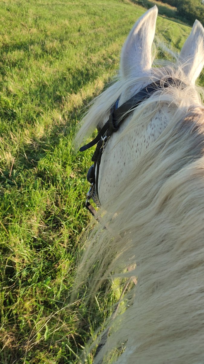 IMG-20250803-WA0146.jpeg