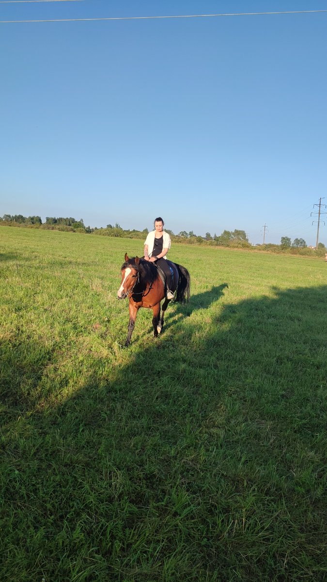 IMG-20250803-WA0159.jpeg
