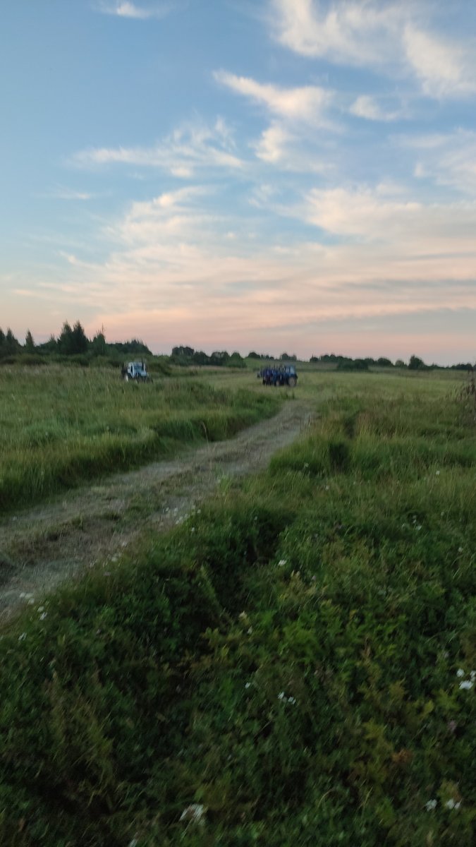 IMG-20250804-WA0006.jpeg