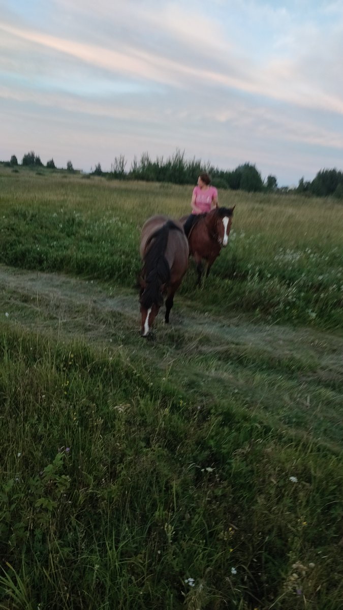 IMG-20250804-WA0008.jpeg
