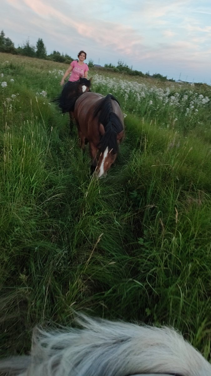 IMG-20250804-WA0016.jpeg