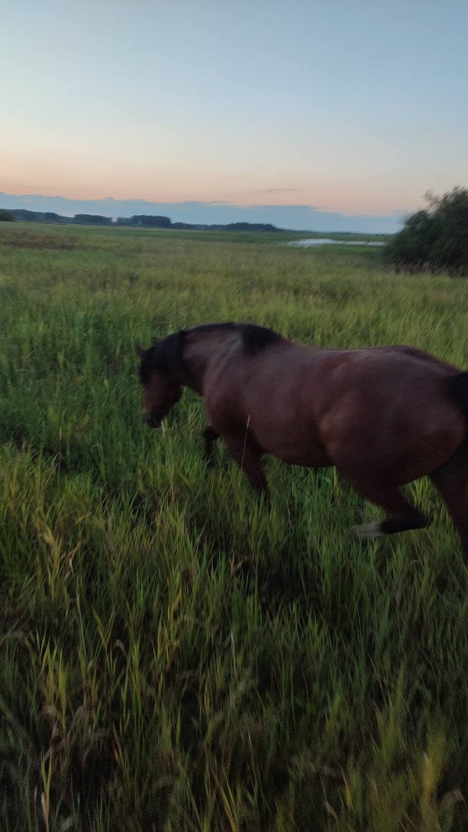 IMG-20250804-WA0026.jpeg