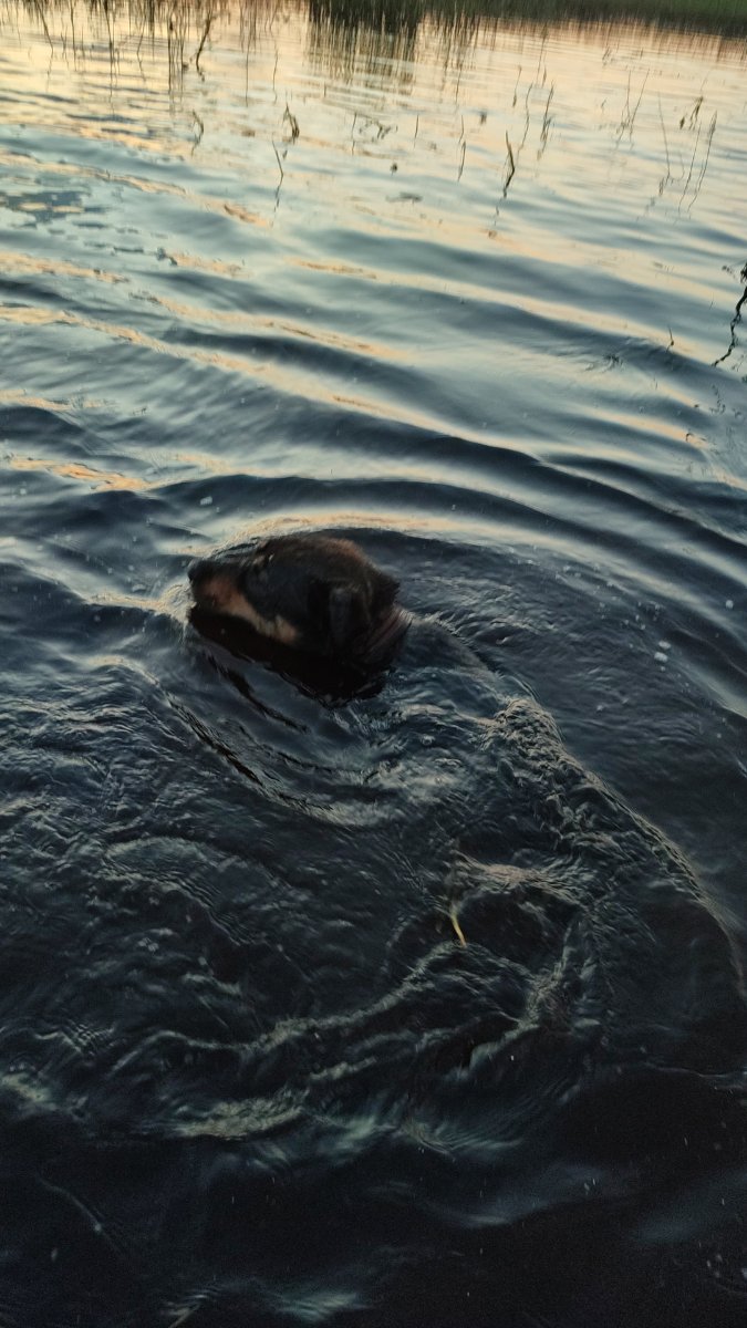 IMG-20250804-WA0070.jpeg
