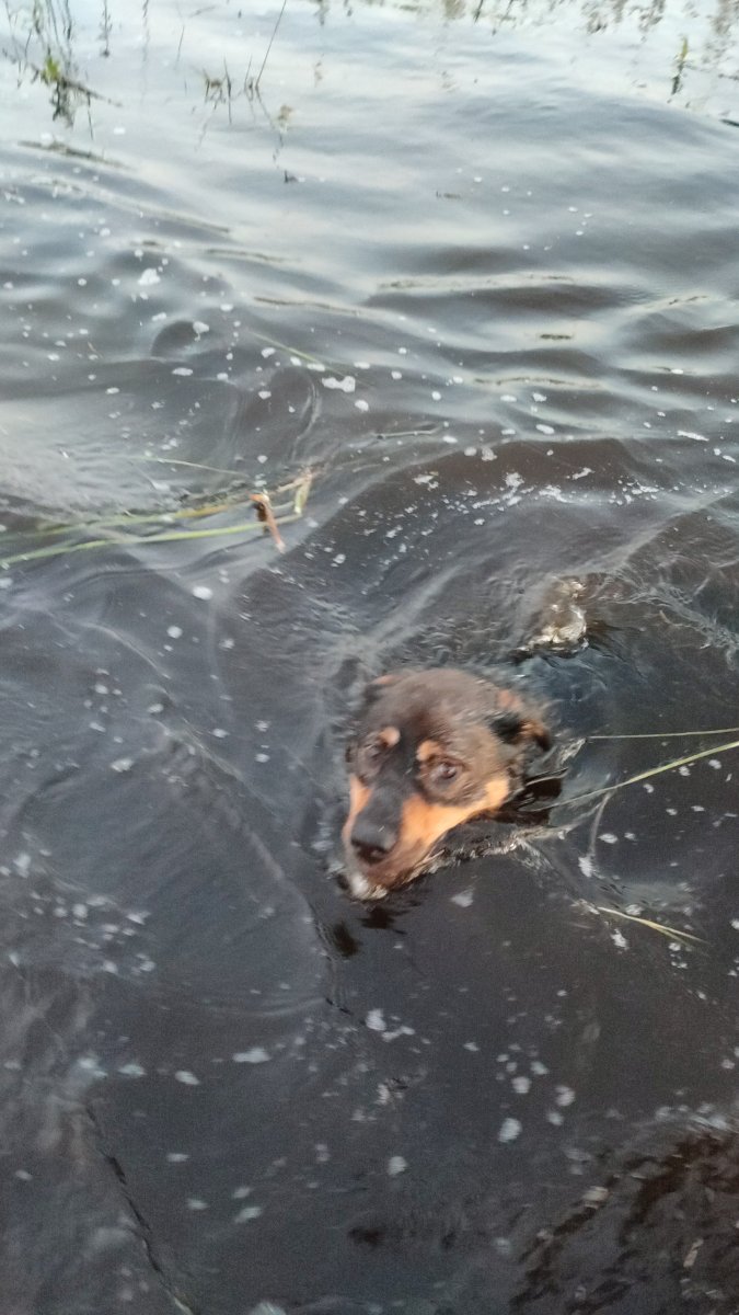 IMG-20250804-WA0072.jpeg